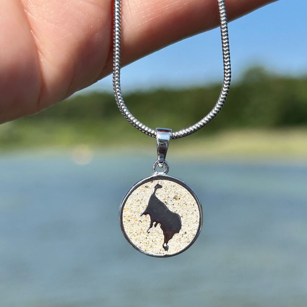 kettenanhenger auf der mueritz