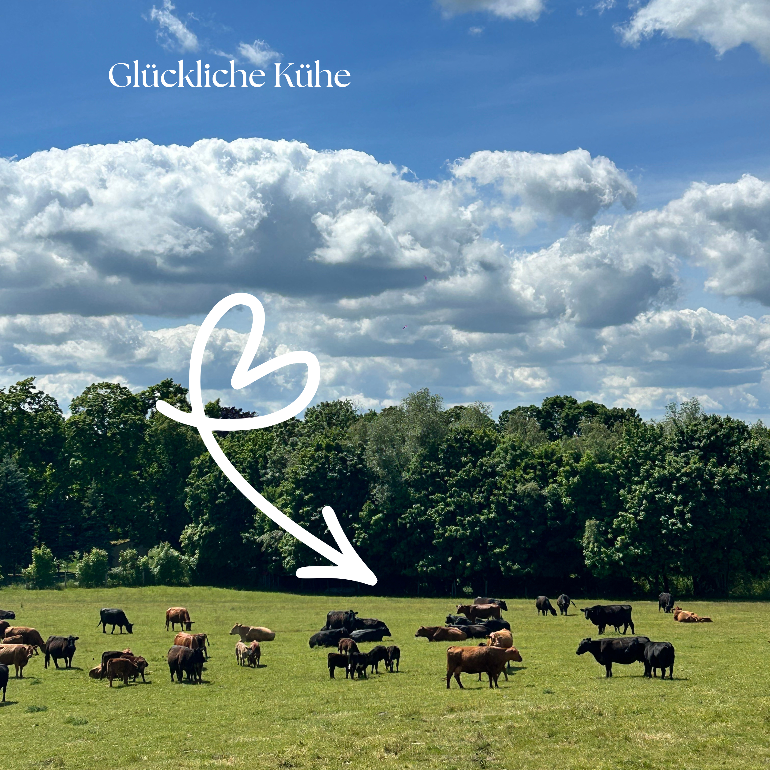 Salami aus Weidehaltung